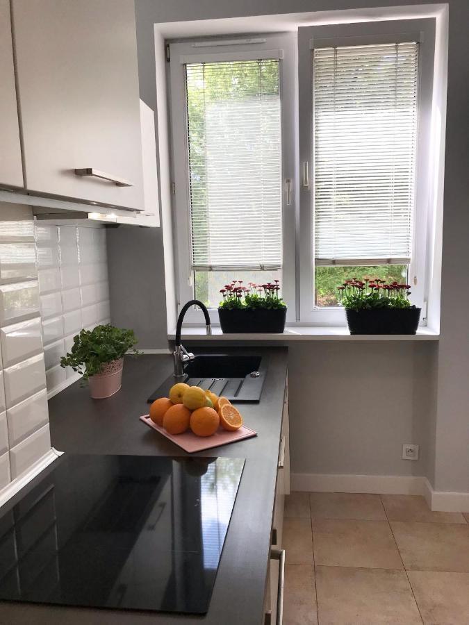 Klimatyczny Apartament Pod Ratuszem -Ul. Slaska 2 Czestochowa Bagian luar foto